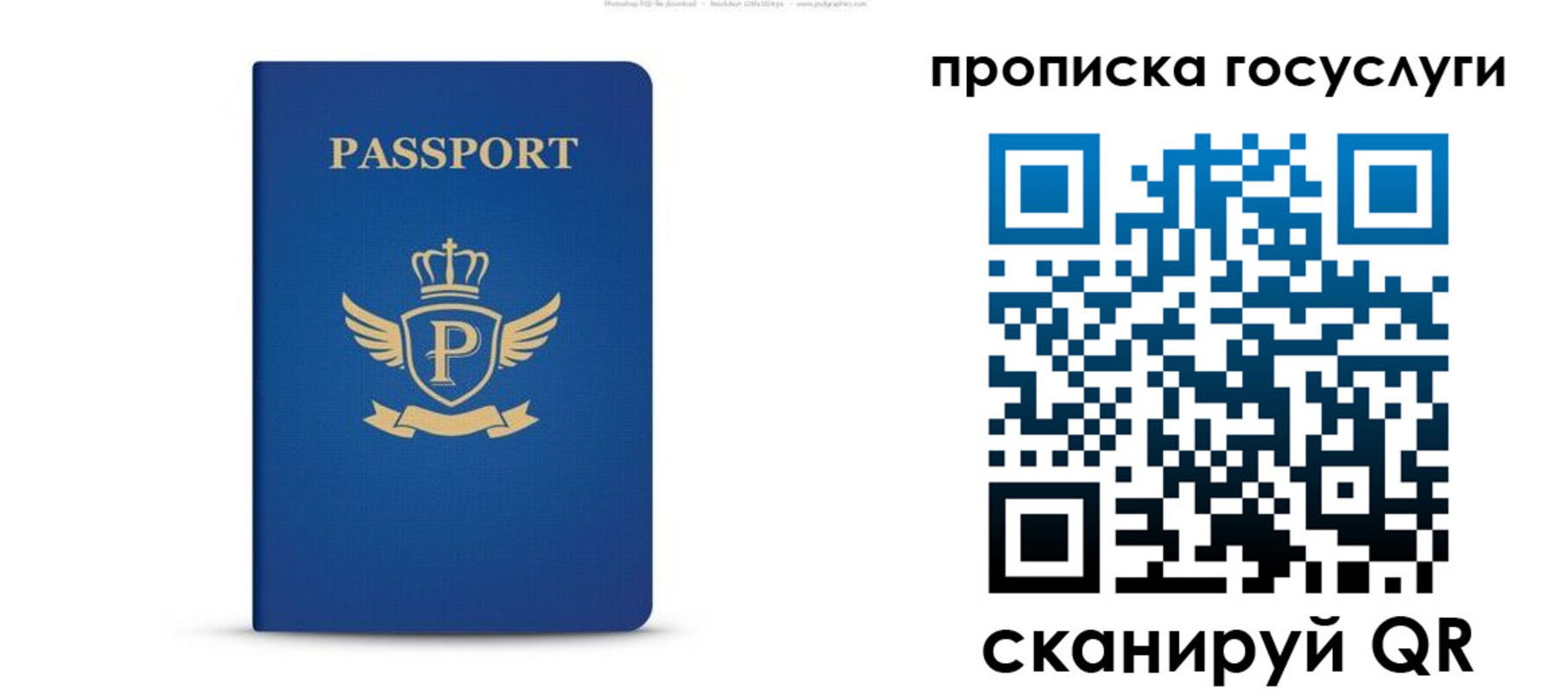 прописка для школы в Курчатове